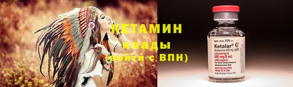 сатива Арсеньев