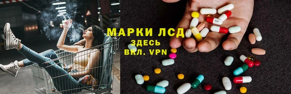 ПСИЛОЦИБИНОВЫЕ ГРИБЫ Медногорск