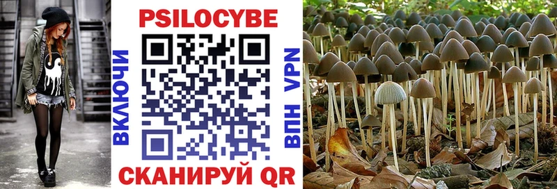 кракен   Ак-Довурак  Галлюциногенные грибы прущие грибы 